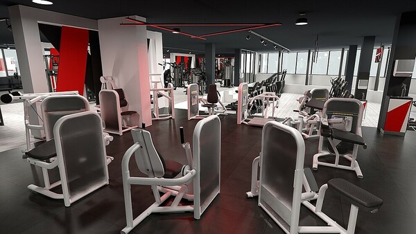 Modernes Fitnessstudio mit Kraftgeräten, hellen Fenstern und stilvollem Interieur.